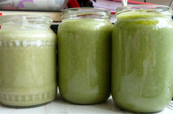 fermented green smoothie